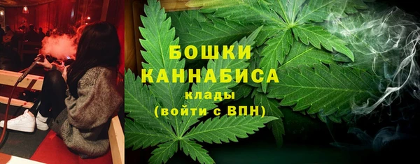 молекула духа Покровск