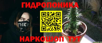 ПСИЛОЦИБИНОВЫЕ ГРИБЫ Абинск