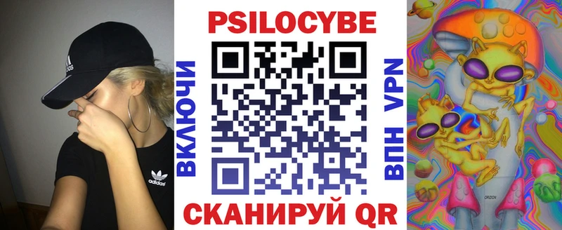 сколько стоит  Апатиты  Псилоцибиновые грибы прущие грибы 