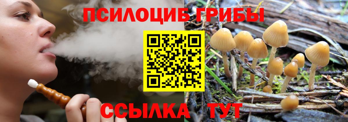 Галлюциногенные грибы ЛСД Апатиты